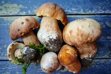 Boletus mantarı (Kral bolete) ahşap bir masa üzerinde
