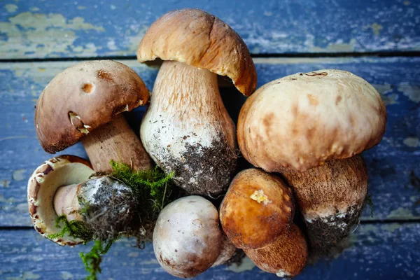 Boletus edulis (king boleet) op een houten tafel — Stockfoto