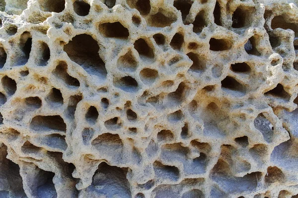 浸食スポンジ表面を持つテクスチャ石灰岩岩 — ストック写真