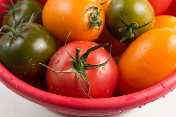 Moget färgglada röda, gula och gröna kumato tomater i våta kitch — Stockfoto