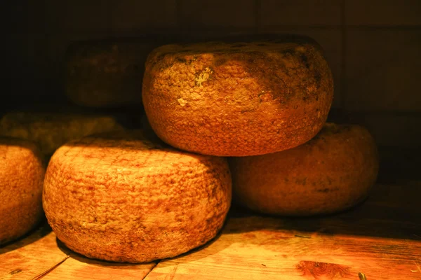 Tipik Toskana pecorino peyniri — Stok fotoğraf