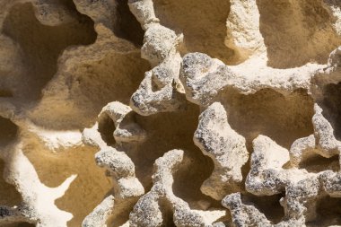 Erozyon sünger yüzeyi olan desenli kireç taşı.