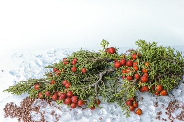 Noel ardıç meyveleri kristal buz ile