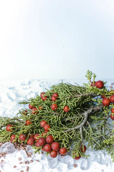 Weihnachtswacholder mit Beeren auf Kristalleis — Stockfoto