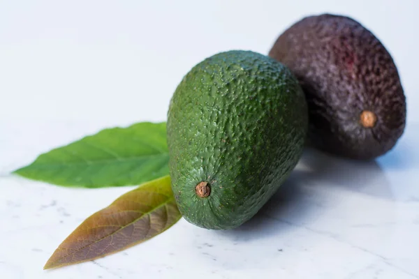 Yeşil olgun avokado — Stok fotoğraf