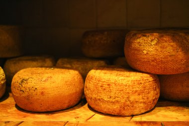 Tipik Toskana pecorino peyniri
