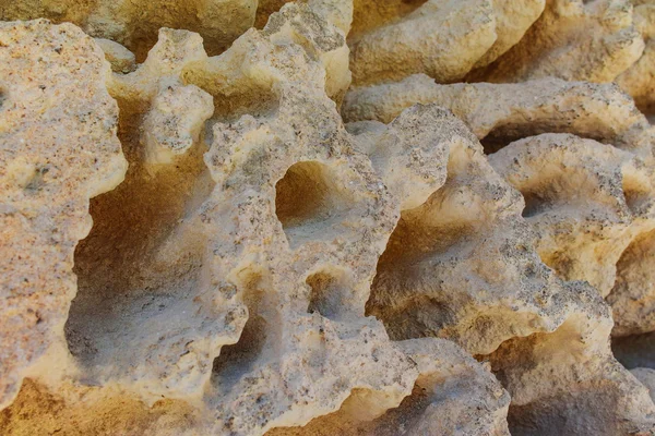 Texturiertes Kalkgestein mit erosiver Schwammoberfläche — Stockfoto