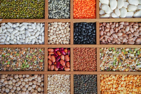 Колекція сочевиці, квасолі, гороху, зерна, крупи, сої — стокове фото