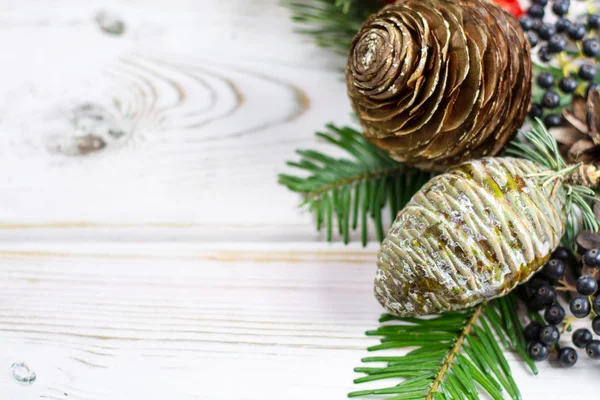 Tanne mit Tannenzapfen und Waldbeeren — Stockfoto