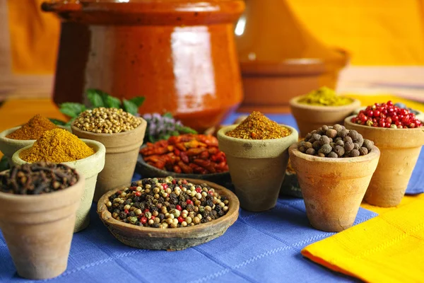 Collection of different spices in old clay bowls — Stock Photo, Image