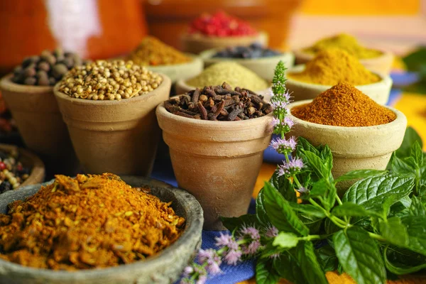 Collection of different spices in old clay bowls — Stock Photo, Image