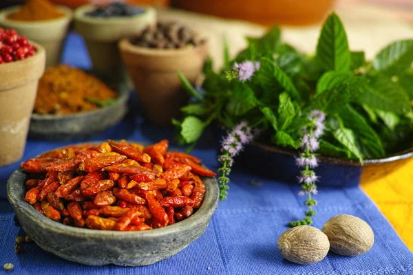 Cuencos viejos de arcilla con chiles rojos picantes y diferentes especias — Foto de Stock