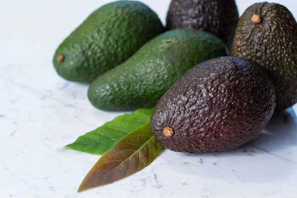 Grüne reife Avocado — Stockfoto