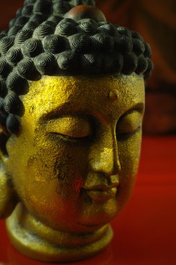 Kopya alanı koyu kırmızı zemin üzerine altın Buddha sakin yüz