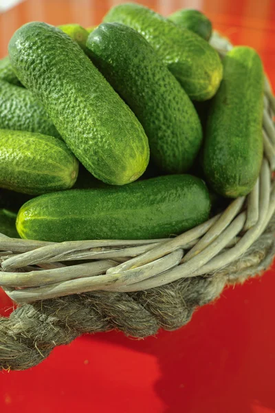Fresh small cucumbers in wicker basket on red background. Green — Stock Photo, Image