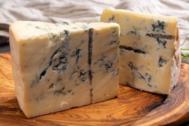 Peynir koleksiyonu, İtalyan gorgonzola peyniri Piedmont ve Lombardy 'de yağsız inek sütünden yapılıyor. Yakın plan.