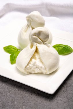 Peynir koleksiyonu, İtalyan yumuşak beyaz burrata topları mozzarella peynirinden yapılmış, içinde krema bulunan bölge Apulia yakın plan.