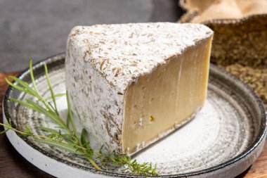Peynir koleksiyonu, Fransız Tomme Cailladou peyniri Provence Rosematy aromatik otlar, kekik, origano yakın çekim