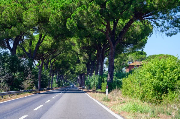 Jazda Starożytną Drogą Appian Łączącą Rzym Brindisi Włoszech Wysokimi Zielonymi — Zdjęcie stockowe