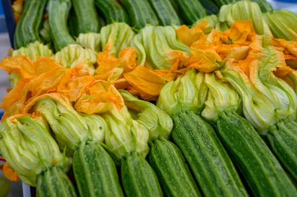 开黄花的青葱蔬菜 健康的意大利食品 — 图库照片