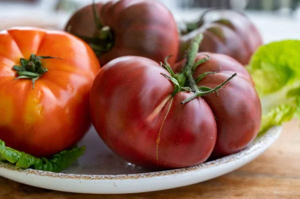 Nova Colheita Tomates Herança Rabanete Roxo Grandes Preto Crimeia Perto — Fotografia de Stock