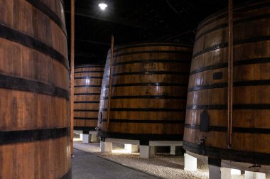 Portekiz 'in kuzeyindeki Vila Nova de Gaia' da güçlendirilmiş yakut ya da tawny porto şarabının yavaş yaşlanması için meşe ağacı fıçılarıyla dolu eski bir porto kulübesi.