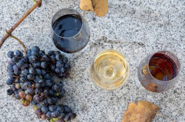 Güneşli sonbaharda, Douro Vadisi, Portekiz 'de, çeşitli güçlendirilmiş şarap kadehlerinin tadına bakmak.