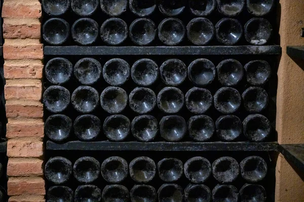 Garrafas Rubi Fortificado Vintage Vinho Porto Tawny Adegas Antigas Vila — Fotografia de Stock