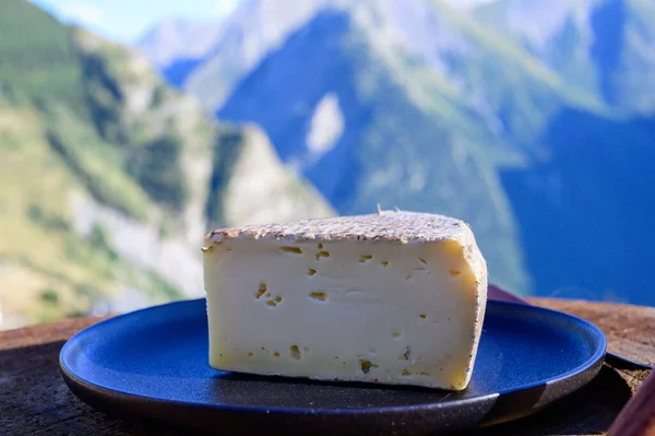 奶酪系列 法国番茄或土豆泥奶酪 夏天背景下 在阿尔卑斯山顶上的户外供应 — 图库照片