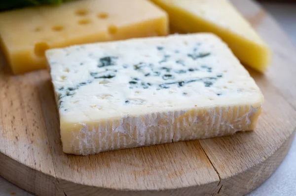 Käsekollektion Französischer Fol Epi Käse Mit Vielen Kleinen Löchern Etorki — Stockfoto