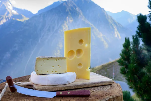 Sbírka Sýrů Francouzské Sýry Emmental Tomme Reblochon Savoie Podávají Pod — Stock fotografie