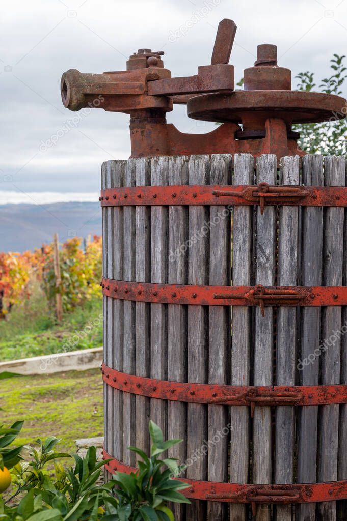 Winemaking in oldest wine region in world Douro valley in Portugal, old wine press, production of red, white and port wine.