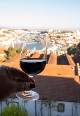 Farklı tahkim edilmiş tatlı yakutlarının, Douro nehrinin manzaralı tawny porto şaraplarının, Vila Nova de Gaia 'nın porto localarının ve Portekiz' in Porto şehrinin günbatımında tadına bakmak.