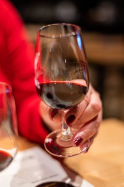 Porto, Portekiz 'deki şarap mahzenlerinde şarap kadehlerinde bulunan farklı güçlendirilmiş tatlı yakutunun profesyonel tatma, tawny port şarapları.