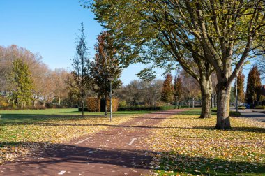 Hollanda 'da ulaşım, güneşli bir sonbahar gününde Brabant' ta güvenli bisiklet yolları, hiç kimse