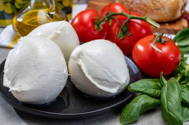 Campania 'dan taze el yapımı yumuşak İtalyan peyniri, inek sütünden yapılmış beyaz bufalo peyniri.