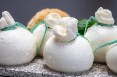 Peynir koleksiyonu, Puglia 'dan taze el yapımı İtalyan peyniri, beyaz burrata topları veya mozarella ve kremadan yapılmış burratina peyniri.
