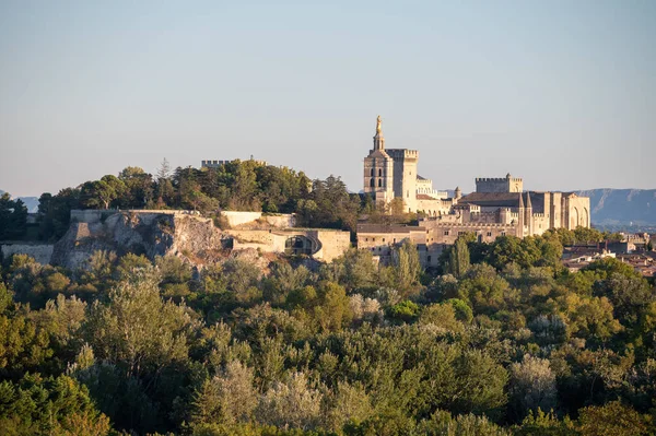 Vista Panorámica Las Antiguas Murallas Palacio Los Papas Antigua Ciudad — Foto de Stock