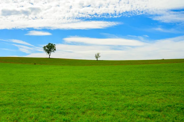 Green Meadows French Prealps Nature Background Summertime — Stock Photo, Image