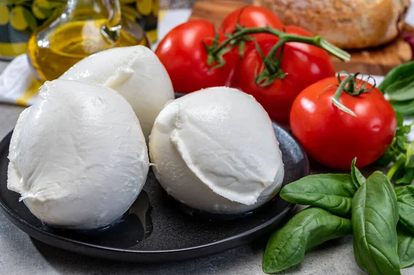 Queijo Italiano Macio Feito Mão Fresco Campânia Bolas Brancas Queijo — Fotografia de Stock