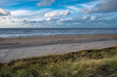 Kışın Hollanda 'nın Zandvoort kenti yakınlarındaki Kuzey Denizi' nin geniş rüzgarlı sahillerinde kumlu kumulları rüzgardan korur.