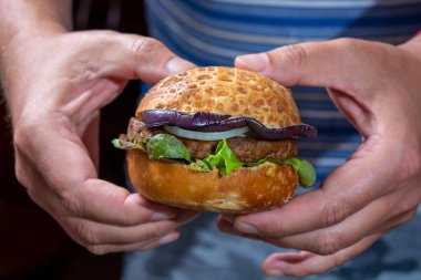 Vejetaryen ya da vejetaryen fast food yemek, sebzeli taze bitkisel burger yemek.