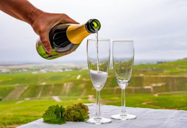 Fransa 'nın Epernay yakınlarındaki Cramant' da yeşil Grand Cru Champagne Vineyards manzaralı baloncuklu Fransız beyaz şarabı tatmak.