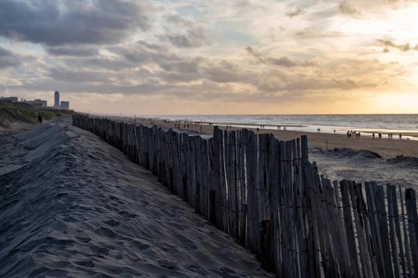 Sand Fence Wide Windy Beach North Sea Zandvoort Netherlands Winter — Stock Photo, Image