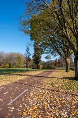 Hollanda 'da ulaşım, güneşli bir sonbahar gününde Brabant' ta güvenli bisiklet yolları, hiç kimse