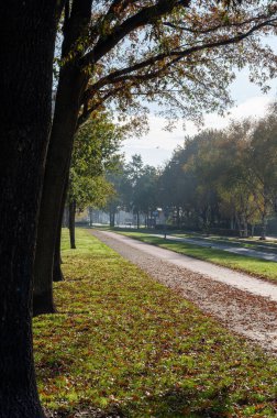 Hollanda 'da ulaşım, güneşli bir sonbahar gününde Brabant' ta güvenli bisiklet yolları, hiç kimse