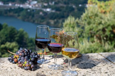Güneşli sonbaharda, Douro Nehri Vadisi, Portekiz 'de bardaklarla güçlendirilmiş farklı liman şarapları tatmak.