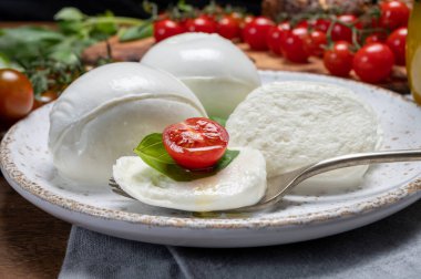Peynir koleksiyonu, beyaz İtalyan peyniri mozzarellası yemek, kırmızı vişneli domates ve taze fesleğen yapraklarıyla servis edilmek.