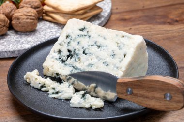 Peynir koleksiyonu, rokfor grotten of roquefort-sur-Soulzon, Fransa 'dan Fransız rokfor peyniri, kapatın.