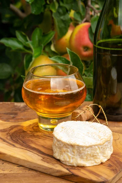 Taste Normandy France Glass Apple Cider Camembert Cheese Served Orchard — Stock Photo, Image